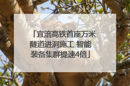 宜涪高铁首座万米隧道进洞施工 智能装备集群提速4倍