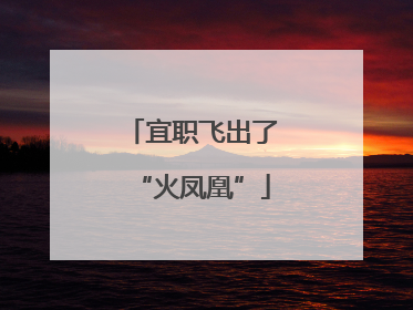 宜职飞出了“火凤凰”
