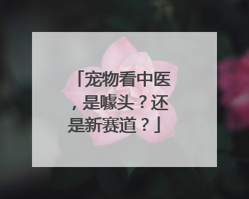 宠物看中医，是噱头？还是新赛道？