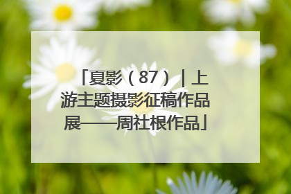 夏影（87）｜上游主题摄影征稿作品展——周社根作品
