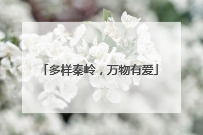 多样秦岭，万物有爱
