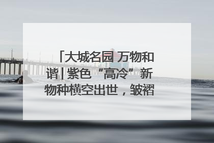 大城名园 万物和谐│紫色“高冷”新物种横空出世，皱褶叶片暗藏进化密码