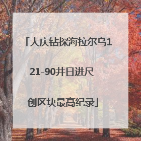 大庆钻探海拉尔乌121-90井日进尺 创区块最高纪录