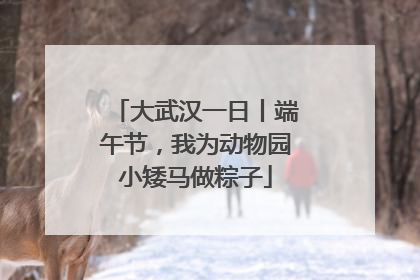 大武汉一日丨端午节，我为动物园小矮马做粽子