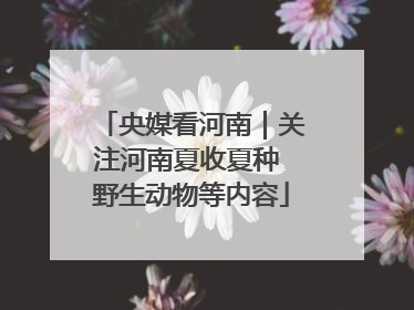 央媒看河南｜关注河南夏收夏种 野生动物等内容