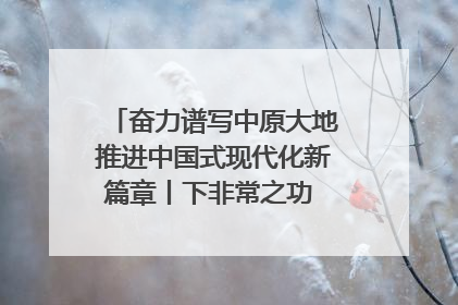 奋力谱写中原大地推进中国式现代化新篇章丨下非常之功 战非常“三夏”