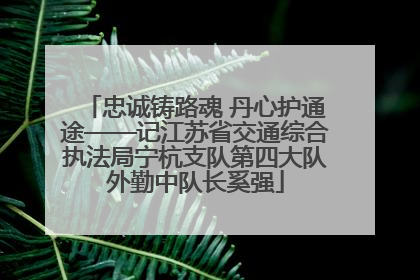 忠诚铸路魂 丹心护通途——记江苏省交通综合执法局宁杭支队第四大队外勤中队长奚强