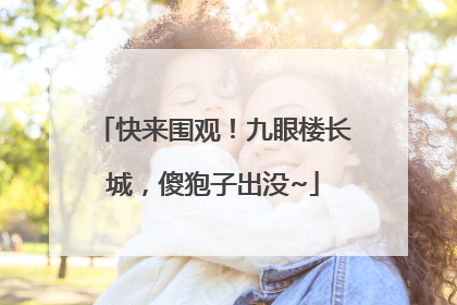 快来围观！九眼楼长城，傻狍子出没~
