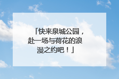 快来泉城公园，赴一场与荷花的浪漫之约吧！