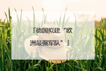 德国拟建“欧洲最强军队”
