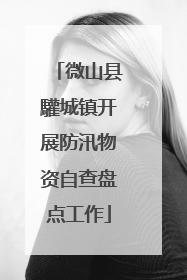 微山县驩城镇开展防汛物资自查盘点工作
