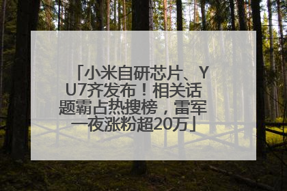 小米自研芯片、YU7齐发布！相关话题霸占热搜榜，雷军一夜涨粉超20万