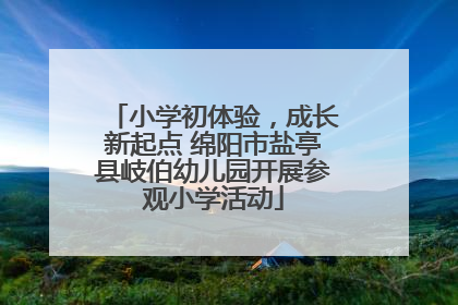 小学初体验，成长新起点 绵阳市盐亭县岐伯幼儿园开展参观小学活动