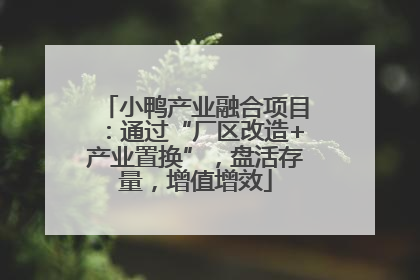 小鸭产业融合项目：通过“厂区改造+产业置换”，盘活存量，增值增效