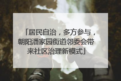 居民自治，多方参与，朝阳潘家园街道邻委会带来社区治理新模式