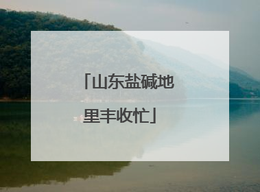 山东盐碱地里丰收忙