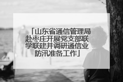 山东省通信管理局赴枣庄开展党支部联学联建并调研通信业防汛准备工作