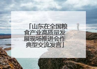 山东在全国粮食产业高质量发展现场推进会作典型交流发言