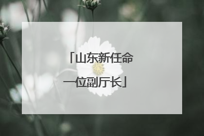 山东新任命一位副厅长