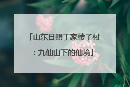 山东日照丁家楼子村：九仙山下的仙境