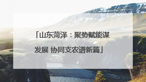 山东菏泽：聚势赋能谋发展 协同支农谱新篇