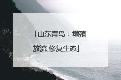 山东青岛：增殖放流 修复生态