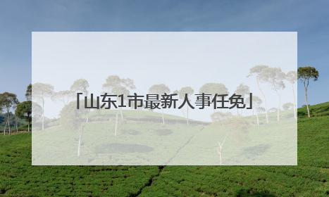 山东1市最新人事任免