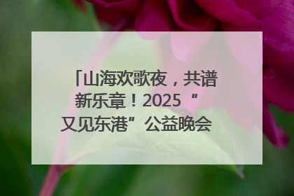 山海欢歌夜，共谱新乐章！2025“又见东港”公益晚会奏响文旅强音