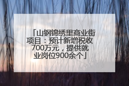 山钢锦绣里商业街项目：预计新增税收700万元，提供就业岗位900余个