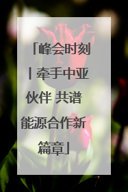 峰会时刻丨牵手中亚伙伴 共谱能源合作新篇章