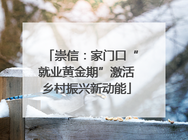 崇信：家门口“就业黄金期”激活乡村振兴新动能