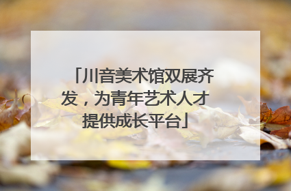 川音美术馆双展齐发，为青年艺术人才提供成长平台