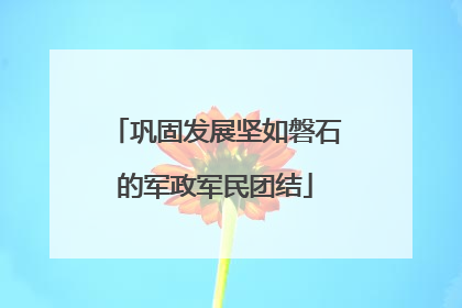 巩固发展坚如磐石的军政军民团结