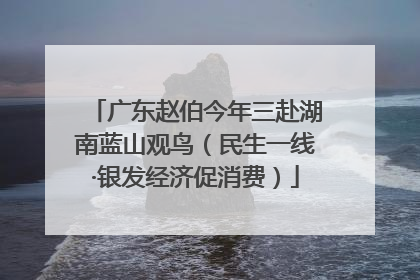 广东赵伯今年三赴湖南蓝山观鸟（民生一线·银发经济促消费）