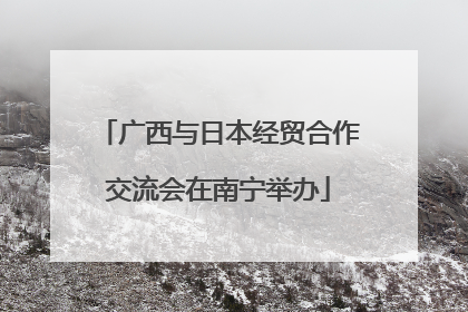 广西与日本经贸合作交流会在南宁举办