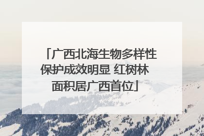 广西北海生物多样性保护成效明显 红树林面积居广西首位