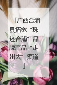 广西合浦县拓宽“珠还合浦”品牌产品“走出去”渠道