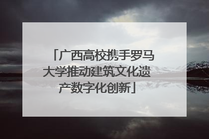 广西高校携手罗马大学推动建筑文化遗产数字化创新