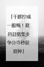 干群拧成一股绳！夏邑县骆集乡争分夺秒促夏种