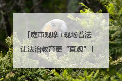 庭审观摩+现场普法 让法治教育更“直观”