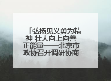 弘扬见义勇为精神 壮大向上向善正能量——北京市政协召开调研协商情况通报会