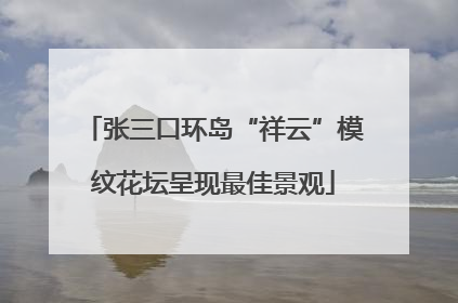 张三口环岛“祥云”模纹花坛呈现最佳景观