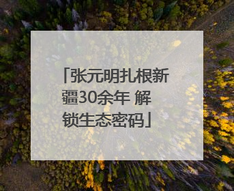 张元明扎根新疆30余年 解锁生态密码
