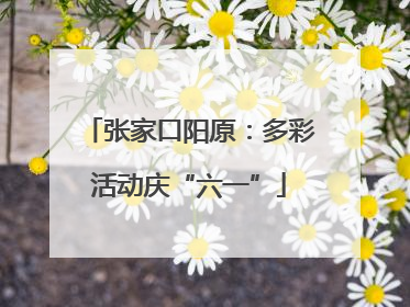 张家口阳原：多彩活动庆“六一”