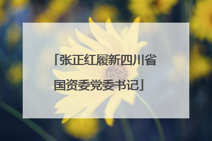 张正红履新四川省国资委党委书记