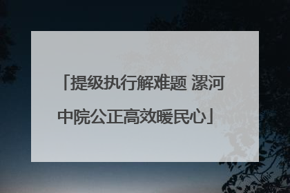 提级执行解难题 漯河中院公正高效暖民心