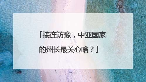 接连访豫，中亚国家的州长最关心啥？