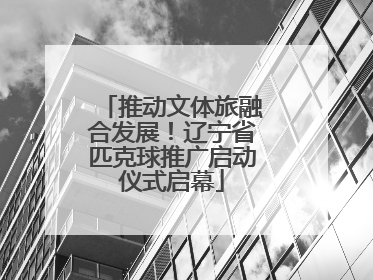 推动文体旅融合发展！辽宁省匹克球推广启动仪式启幕