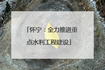 怀宁：全力推进重点水利工程建设