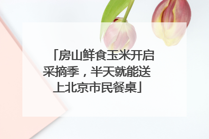 房山鲜食玉米开启采摘季，半天就能送上北京市民餐桌